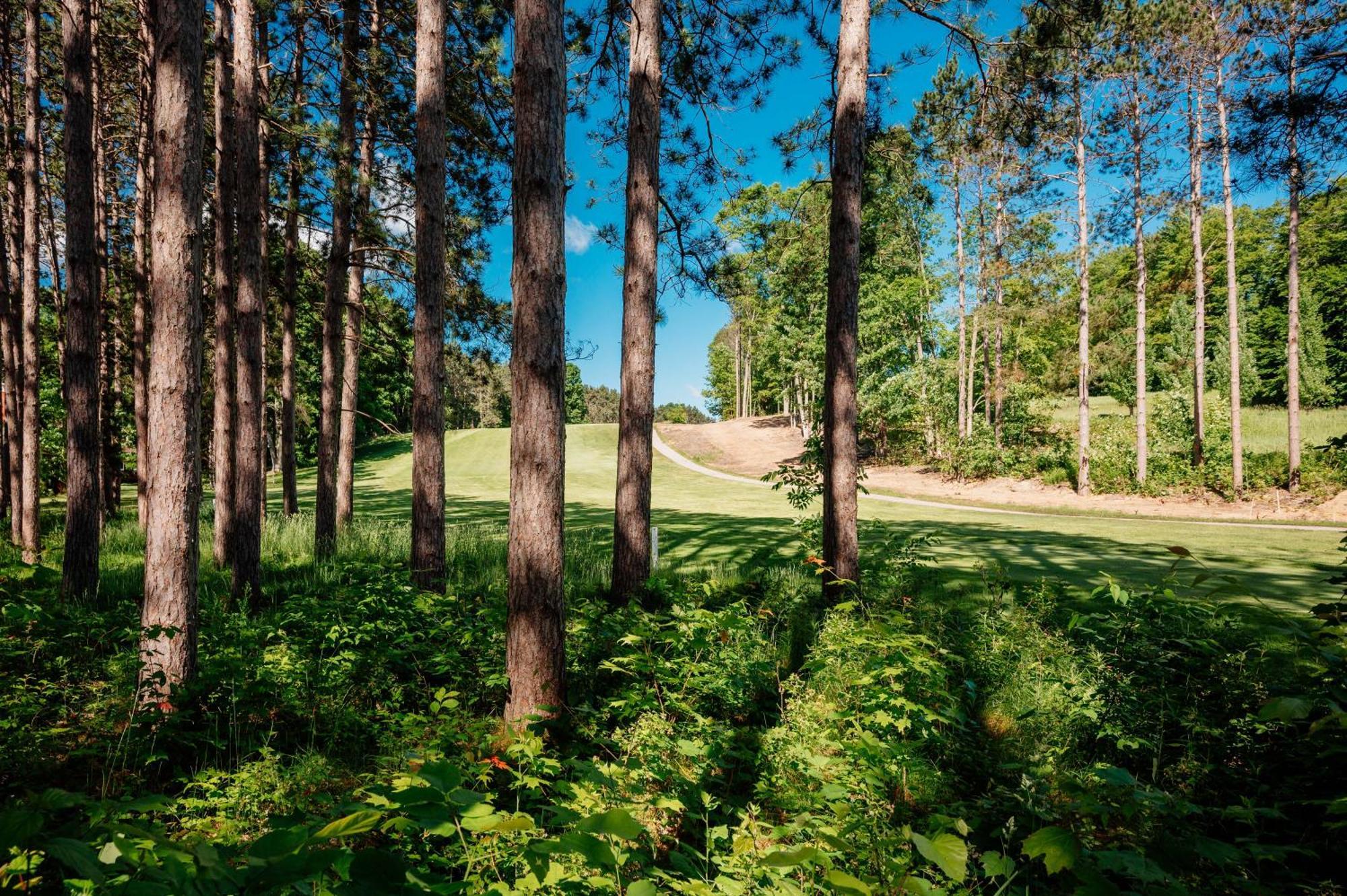 ThompsonvilleSki From The Tee @ Crystal Mountain别墅 外观 照片